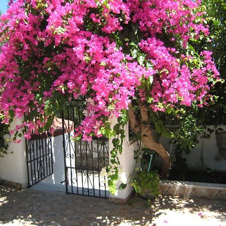 Eleftheria Lindian Studios II Λίνδος Εξωτερικό φωτογραφία