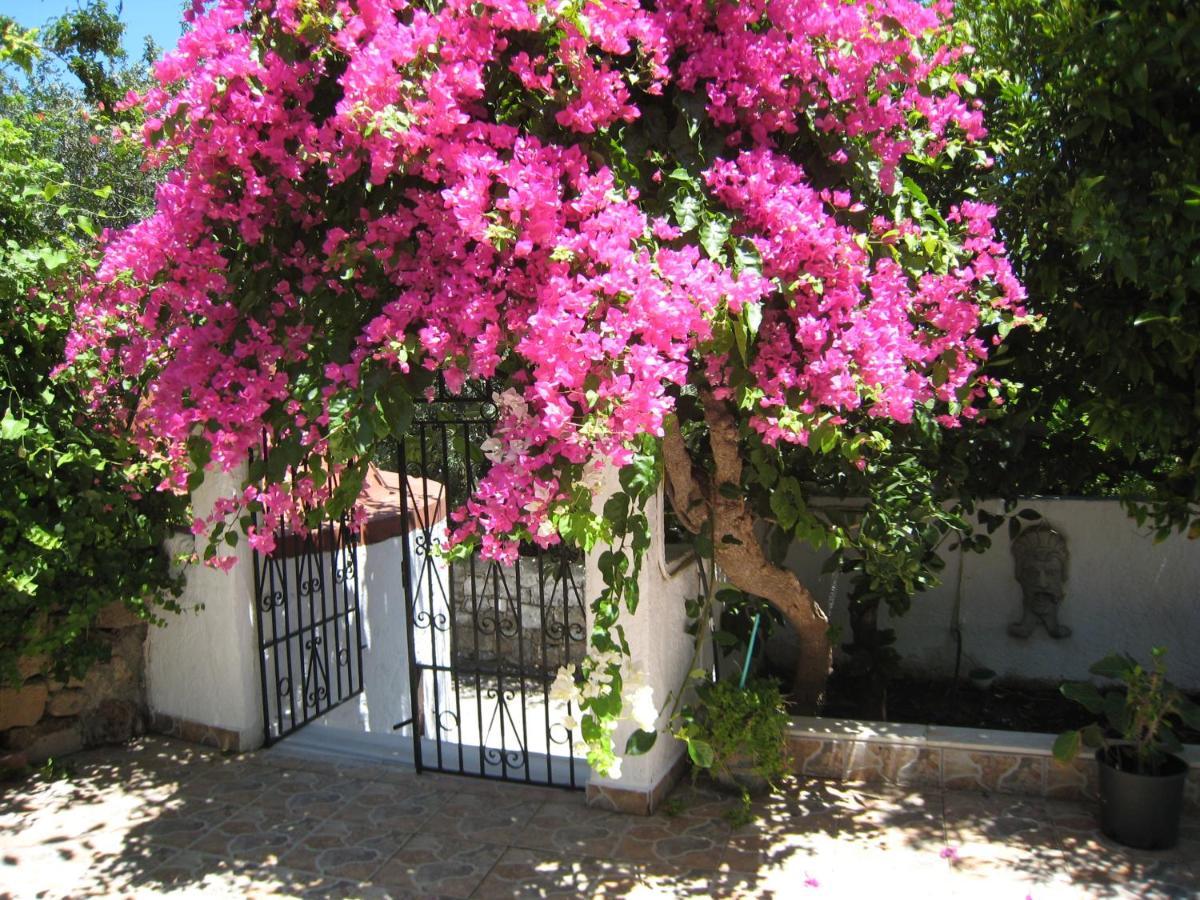 Eleftheria Lindian Studios II Λίνδος Εξωτερικό φωτογραφία