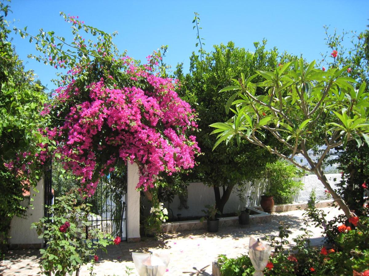 Eleftheria Lindian Studios II Λίνδος Εξωτερικό φωτογραφία